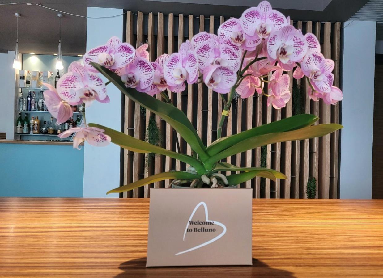 Hotel Europa ベッルーノ エクステリア 写真
